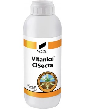 VITANICA CISECTA 
