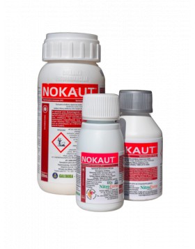 NOKAUT 48 SC
