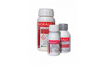 NOKAUT 48 SC