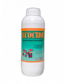 ECOCIDE