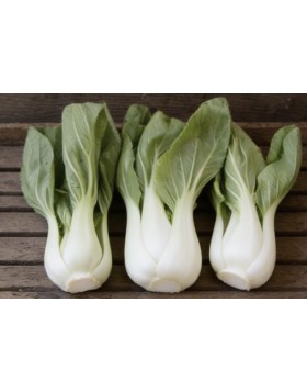 PAK CHOI-ΜΠΟΚ ΤΣΟΙ WHITE 500 G