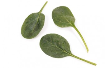 ΣΠΑΝΑΚΙ BINTURONG RZ F1 1.000.000 ΣΠΟΡΟΙ
