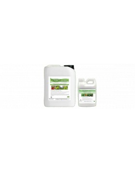 PLANT FEED ΑΝΑΠΤΥΞΗΣ