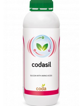 CODASIL