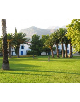 ΕΤΟΙΜΟΣ ΧΛΟΟΤΑΠΗΤΑΣ ΔΙΧΟΝΤΡΑ - GREEN VELVET