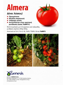 ΤΟΜΑΤΑ ALMERA F1