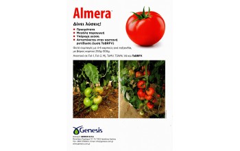 ΤΟΜΑΤΑ ALMERA F1
