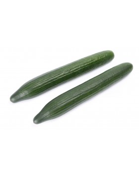 ΑΓΓΟΥΡΙ ΜΑΚΡΥ NESTOS RZ 500 ΣΠΟΡΟΙ