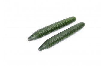 ΑΓΓΟΥΡΙ ΜΑΚΡΥ NESTOS RZ F1