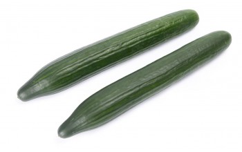 ΑΓΓΟΥΡΙ ΜΑΚΡΥ NESTOS RZ 500 ΣΠΟΡΟΙ