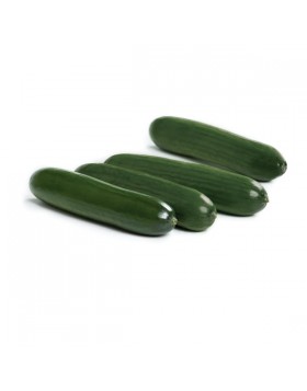 ΑΓΓΟΥΡΙ MINI DARKSUN RZ F1 