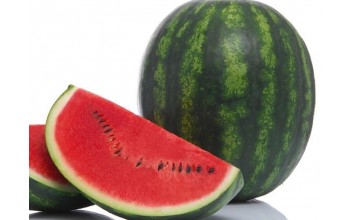 ΚΑΡΠΟΥΖΙ SENSEI F1