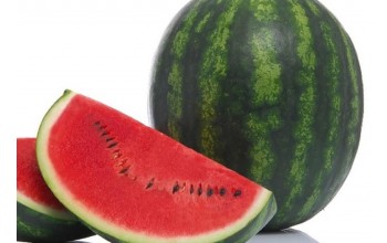 ΚΑΡΠΟΥΖΙ SENSEI F1 1.000 ΣΠΟΡΟΙ