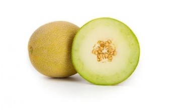 ΠΕΠΟΝΙ TAIGETO RZ 500 ΣΠΟΡΟΙ