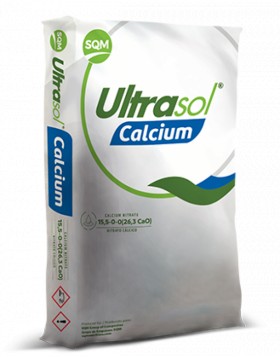 ULTRASOL CALCIUM ΝΙΤΡΙΚΟ ΑΣΒΕΣΤΙΟ 15.5-0-0 25 KG