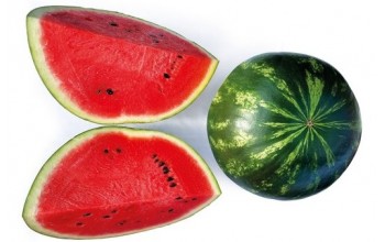 ΚΑΡΠΟΥΖΙ MIRTO F1 1.000 ΣΠΟΡΟΙ