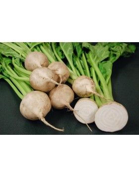 ΠΑΝΤΖΑΡΙ AVALANCHE F1