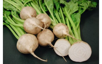 ΠΑΝΤΖΑΡΙ AVALANCHE F1