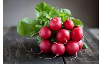 ΡΑΠΑΝΙ SAXA 2 500 G