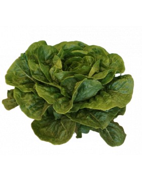 ΜΑΡΟΥΛΙ MOUSIKE F1 