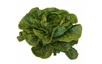 ΜΑΡΟΥΛΙ MOUSIKE F1 