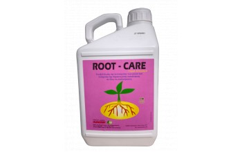 ROOT CARE