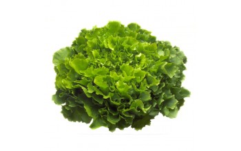 ΑΝΤΙΔΙ KETHEL RZ