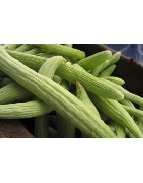 ΞΥΛΑΓΓΟΥΡΟ 25 GR