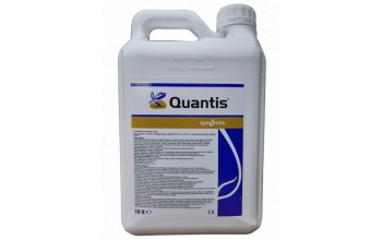 QUANTIS