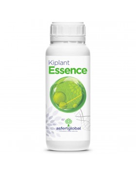 KIPLANT ESSENCE