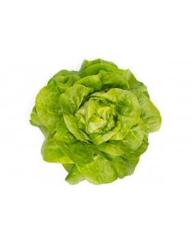 ΜΑΡΟΥΛΙ SANDALINA RZ 5.000 PILLS