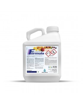 FORMULA