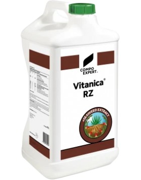 VITANICA RZ