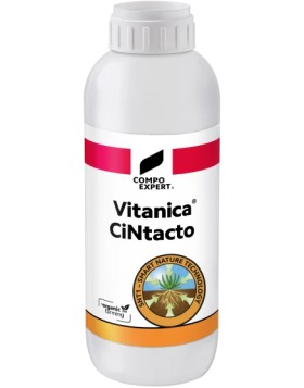 VITANICA CINTACTO