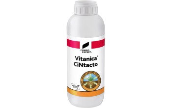VITANICA CINTACTO