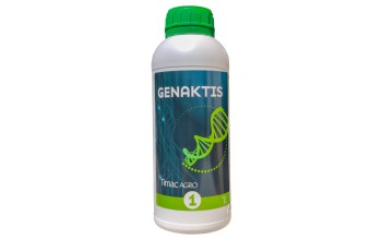 GENAKTIS