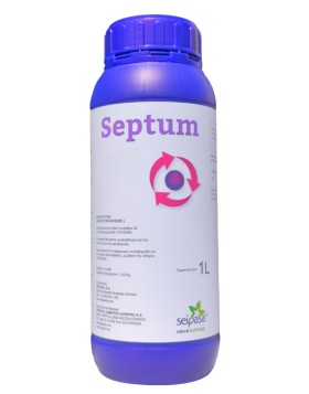 SEPTUM