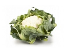 ΚΟΥΝΟΥΠΙΔΙ CASPER RZ 2.500 ΣΠΟΡΟΙ