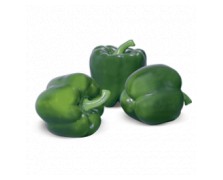 ΠΙΠΕΡΙΑ TELESTAR F1 500 ΣΠΟΡΟΙ