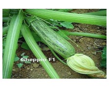 ΚΟΛΟΚΥΘΙ GHEPPIO F1 100G
