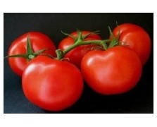 ΤΟΜΑΤΑ PRIMADONA F1 1.000 ΣΠΟΡΟΙ
