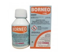 BORNEO 11 SC 