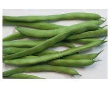 ΦΑΣΟΛΙ NANO BALLET BAGNA 1 KG LENA