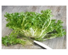 ΑΝΤΙΔΙ ΚΟΝΤΟ ΚΑΤΣΑΡΟ 500G