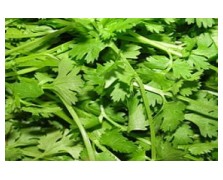 ΚΟΛΙΑΝΔΡΟΣ 500G