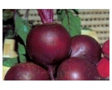 ΠΑΝΤΖΑΡΙ DETROIT 5 LORENA 1KG
