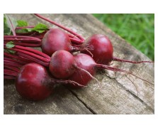 ΠΑΝΤΖΑΡΙ LORENA (DETROIT 5) 1 KG