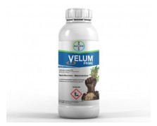 VELUM PRIME SC