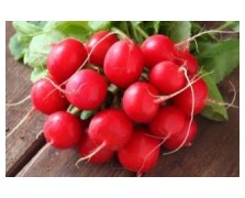ΡΑΠΑΝΙ SHAHRI 250 G