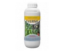 EVERSIL 250 CC